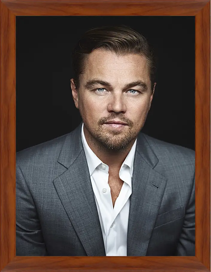 Картина в раме - Леонардо Ди Каприо. Leonardo DiCaprio