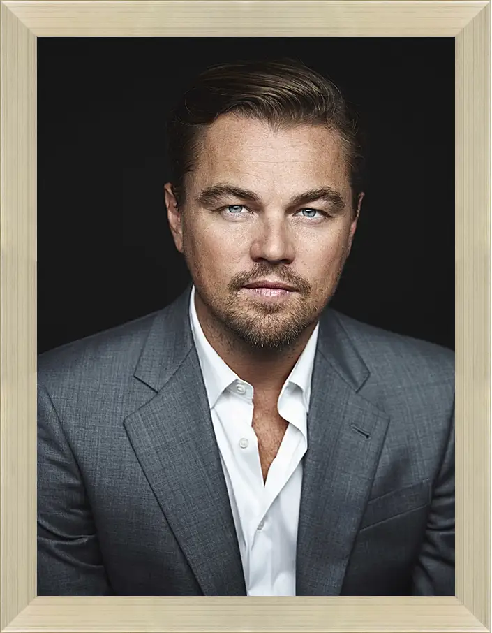 Картина в раме - Леонардо Ди Каприо. Leonardo DiCaprio