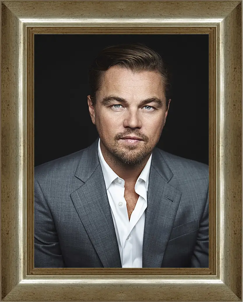 Картина в раме - Леонардо Ди Каприо. Leonardo DiCaprio