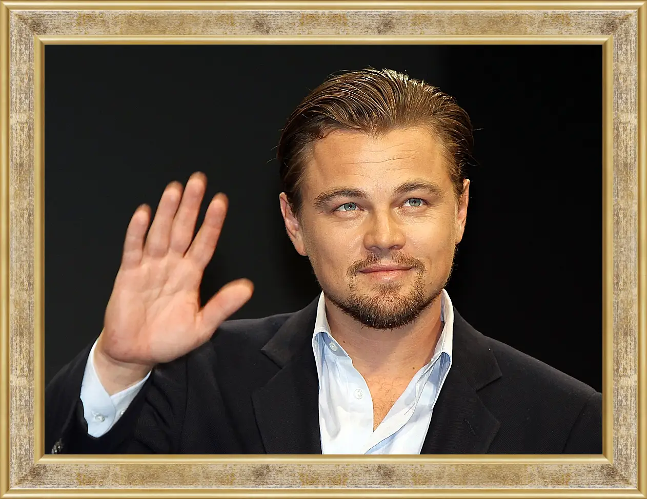 Картина в раме - Леонардо Ди Каприо. Leonardo DiCaprio