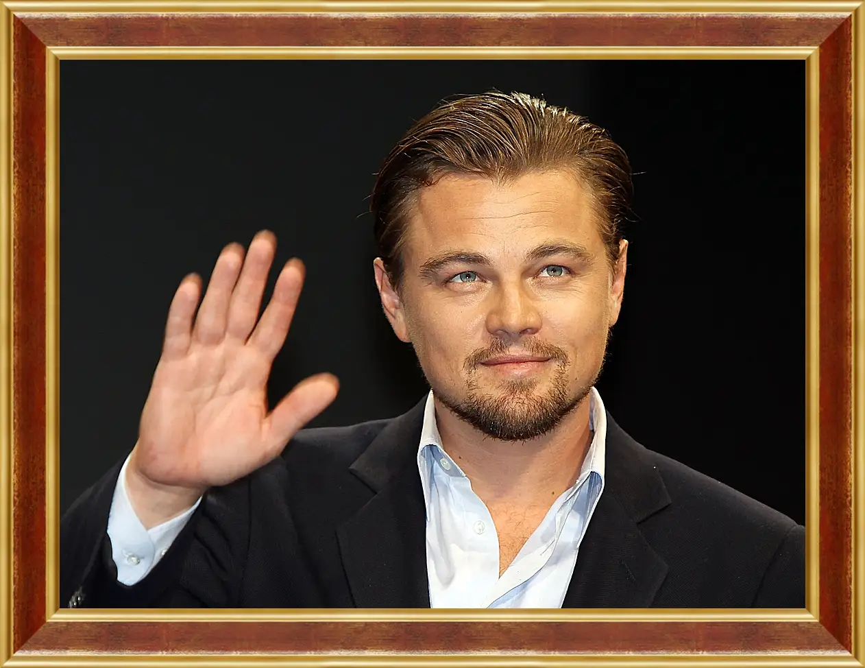 Картина в раме - Леонардо Ди Каприо. Leonardo DiCaprio