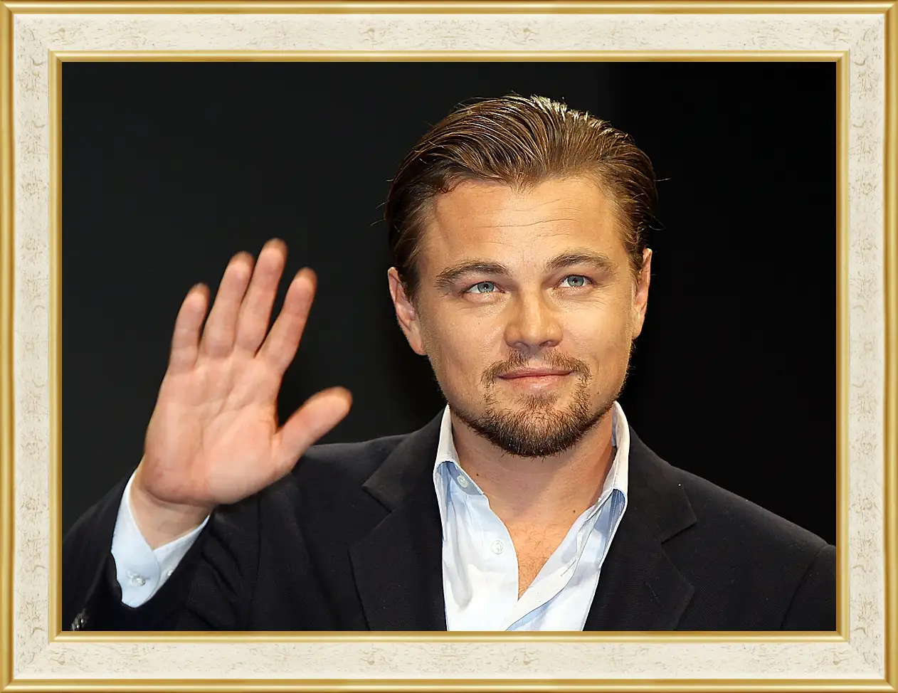 Картина в раме - Леонардо Ди Каприо. Leonardo DiCaprio