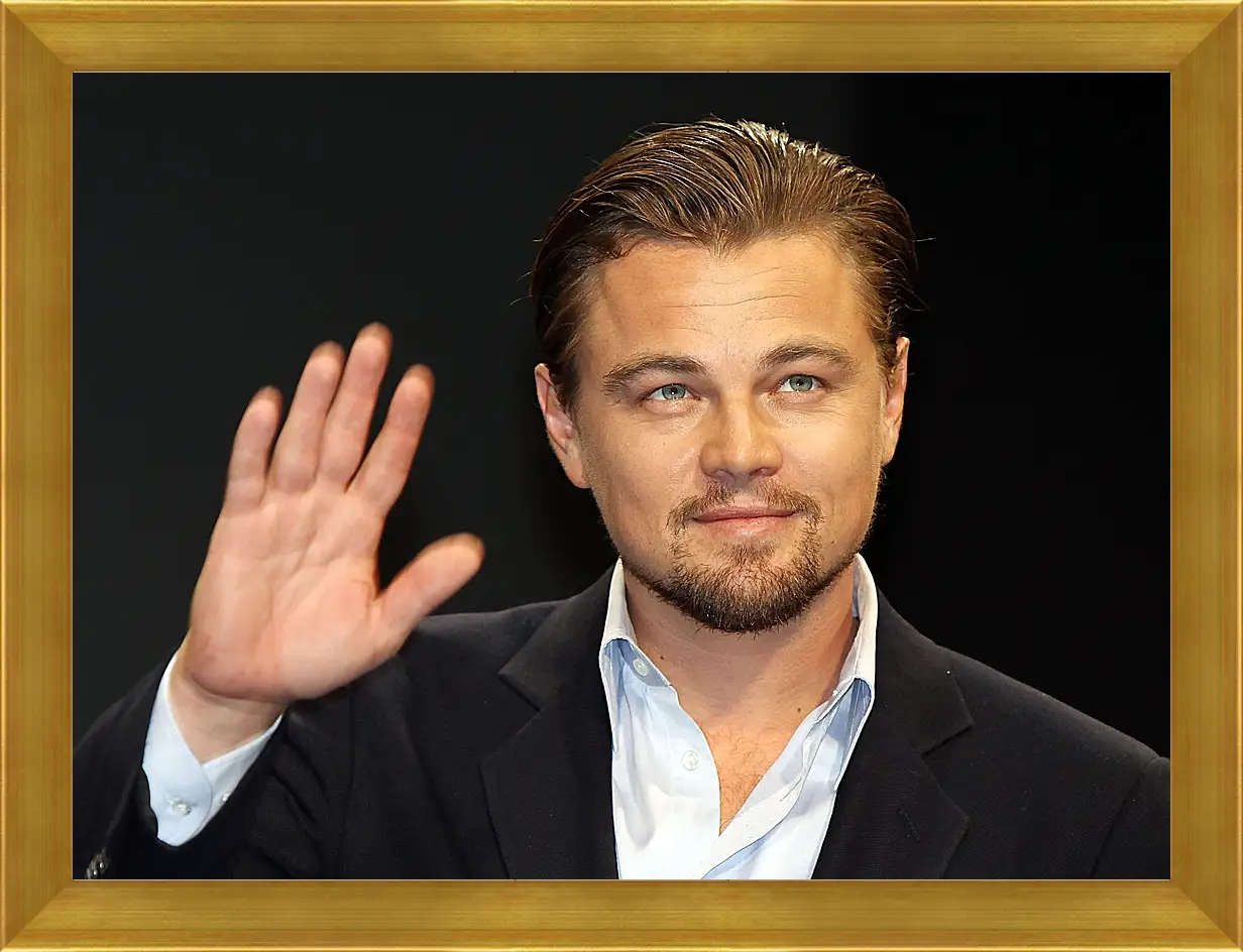 Картина в раме - Леонардо Ди Каприо. Leonardo DiCaprio