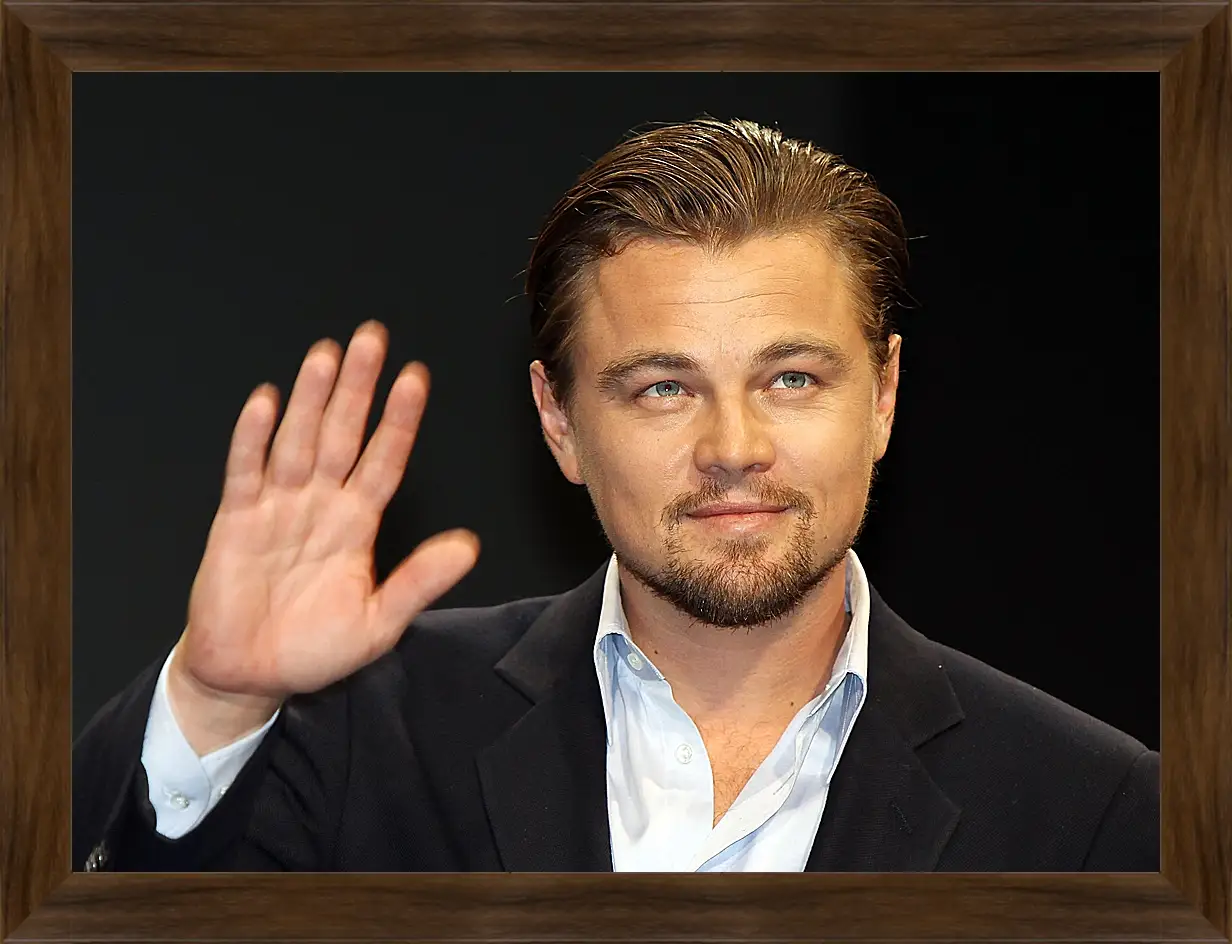 Картина в раме - Леонардо Ди Каприо. Leonardo DiCaprio