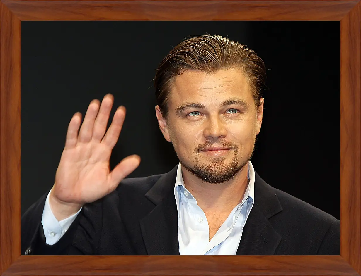 Картина в раме - Леонардо Ди Каприо. Leonardo DiCaprio