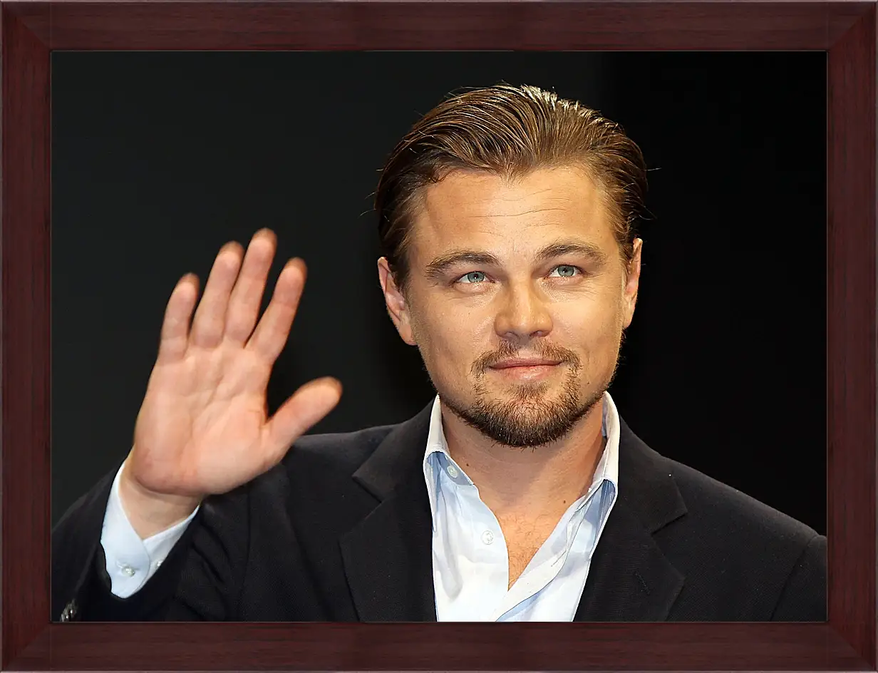 Картина в раме - Леонардо Ди Каприо. Leonardo DiCaprio