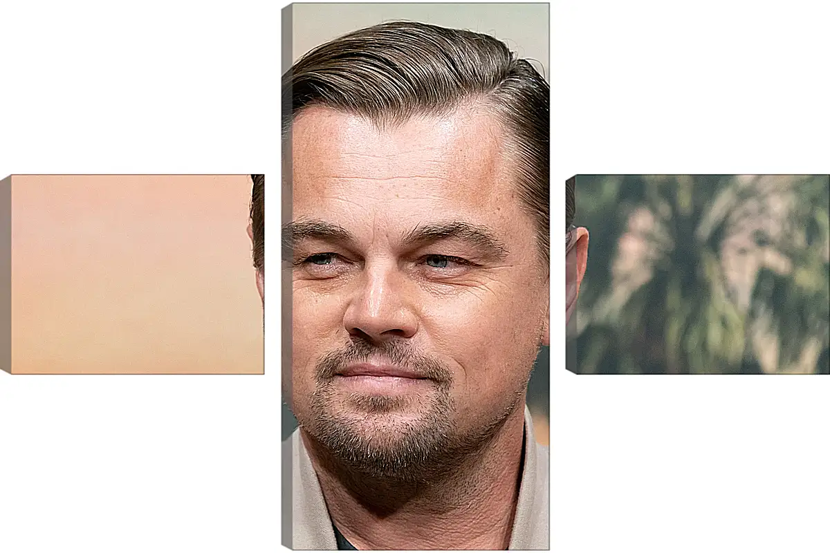 Модульная картина - Леонардо Ди Каприо. Leonardo DiCaprio