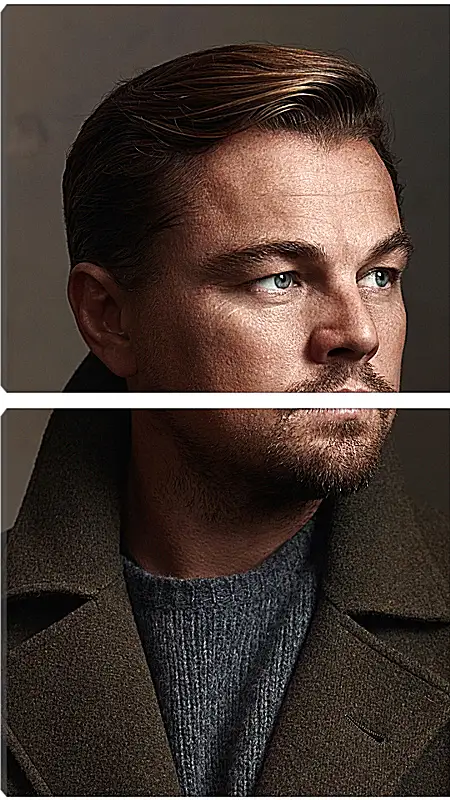 Модульная картина - Леонардо Ди Каприо. Leonardo DiCaprio