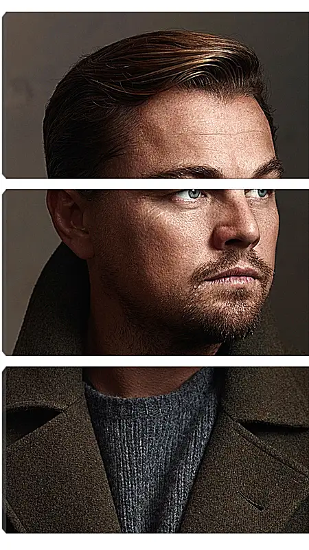 Модульная картина - Леонардо Ди Каприо. Leonardo DiCaprio