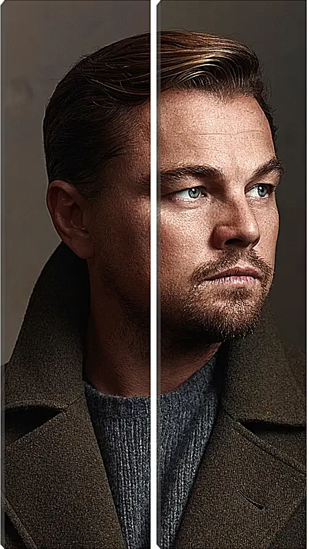 Модульная картина - Леонардо Ди Каприо. Leonardo DiCaprio