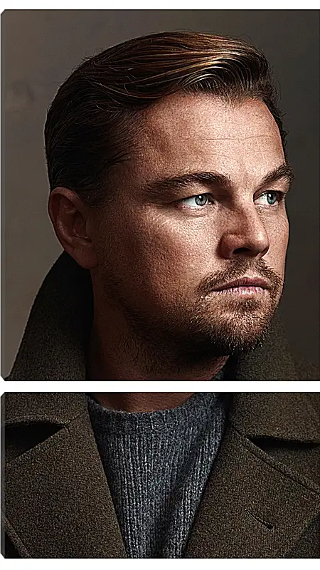 Модульная картина - Леонардо Ди Каприо. Leonardo DiCaprio