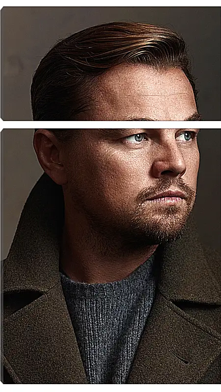 Модульная картина - Леонардо Ди Каприо. Leonardo DiCaprio