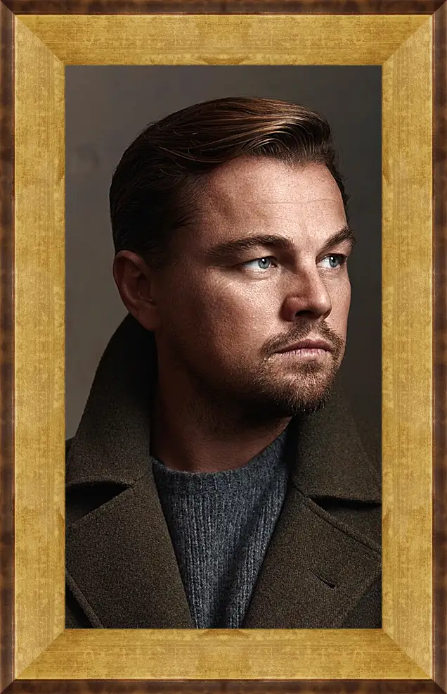 Картина в раме - Леонардо Ди Каприо. Leonardo DiCaprio