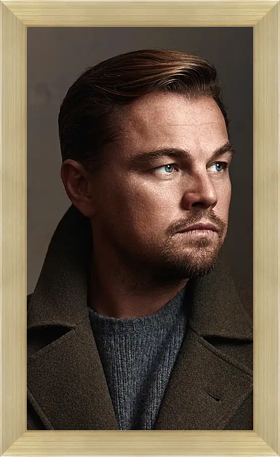 Картина в раме - Леонардо Ди Каприо. Leonardo DiCaprio