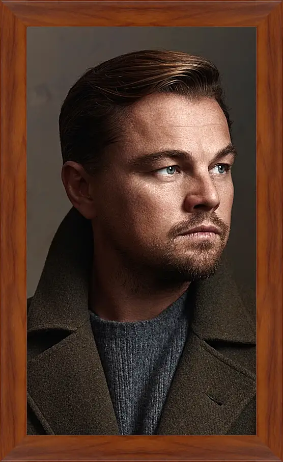 Картина в раме - Леонардо Ди Каприо. Leonardo DiCaprio