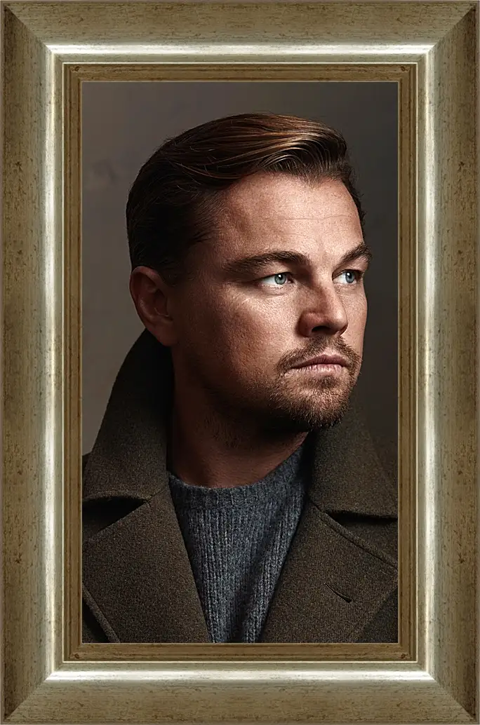 Картина в раме - Леонардо Ди Каприо. Leonardo DiCaprio