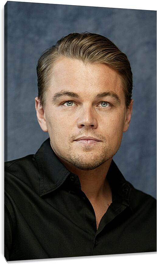 Постер и плакат - Леонардо Ди Каприо. Leonardo DiCaprio