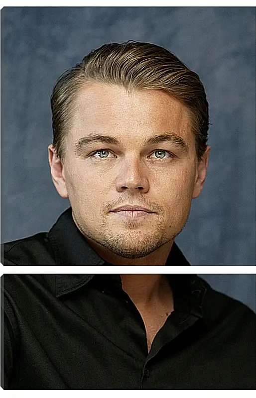 Модульная картина - Леонардо Ди Каприо. Leonardo DiCaprio