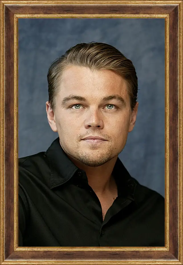 Картина в раме - Леонардо Ди Каприо. Leonardo DiCaprio