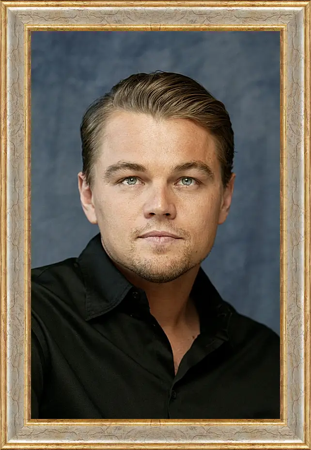 Картина в раме - Леонардо Ди Каприо. Leonardo DiCaprio