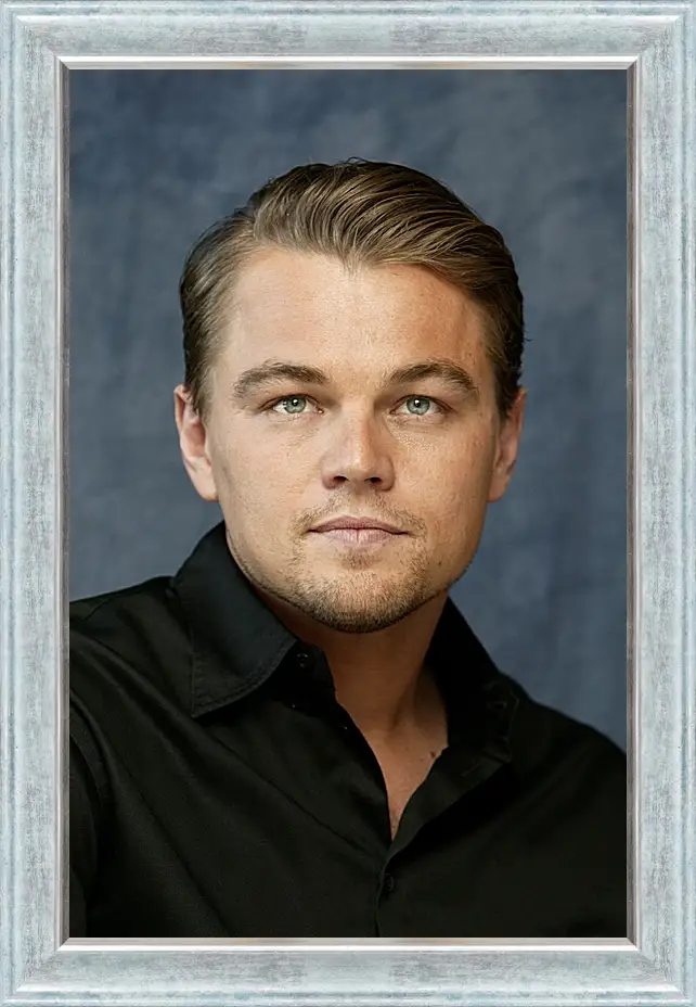 Картина в раме - Леонардо Ди Каприо. Leonardo DiCaprio