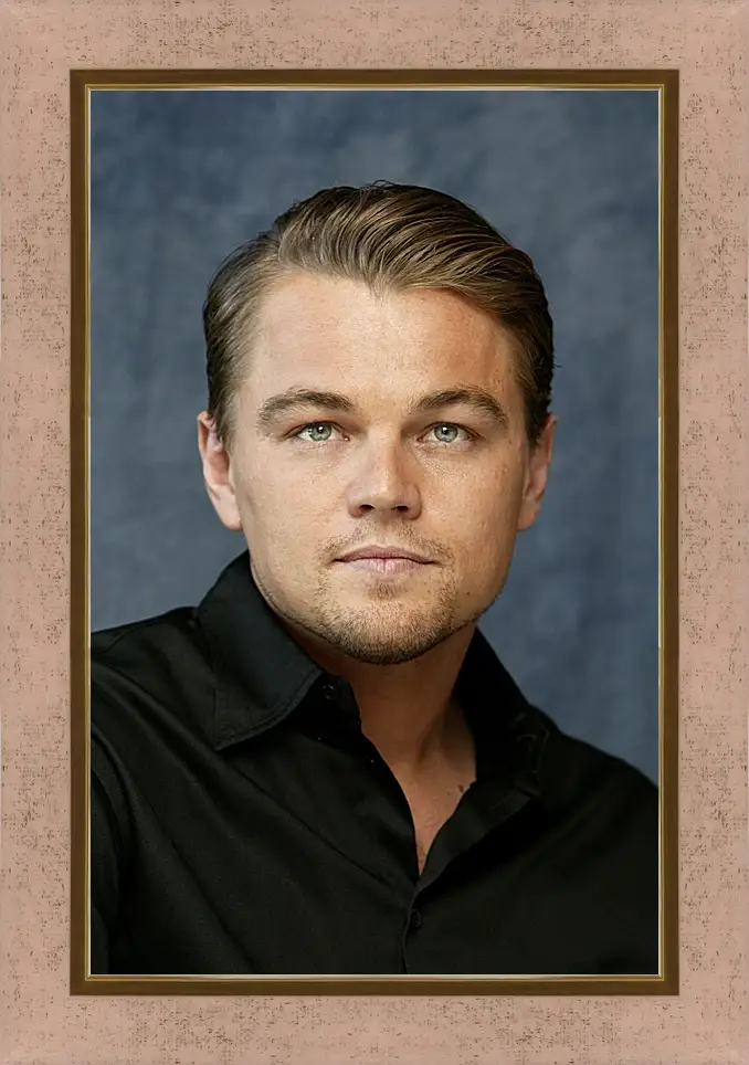 Картина в раме - Леонардо Ди Каприо. Leonardo DiCaprio