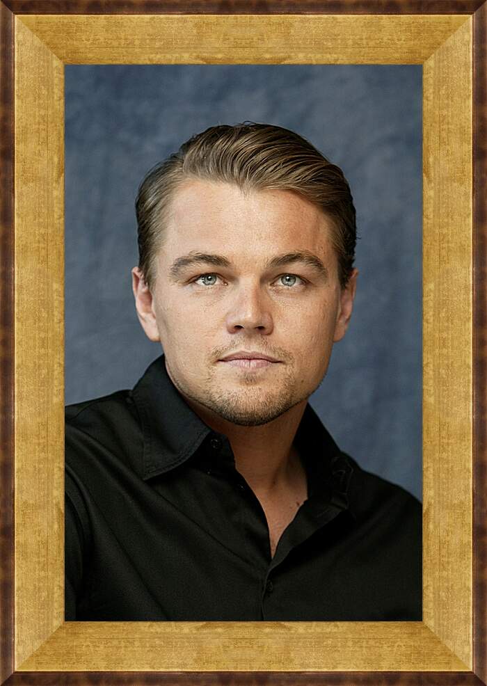 Картина в раме - Леонардо Ди Каприо. Leonardo DiCaprio