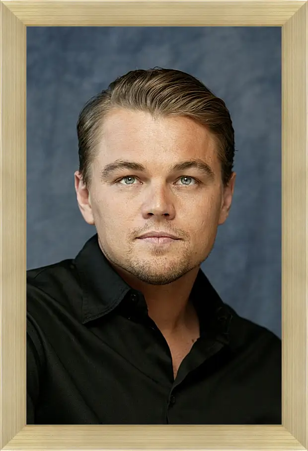 Картина в раме - Леонардо Ди Каприо. Leonardo DiCaprio