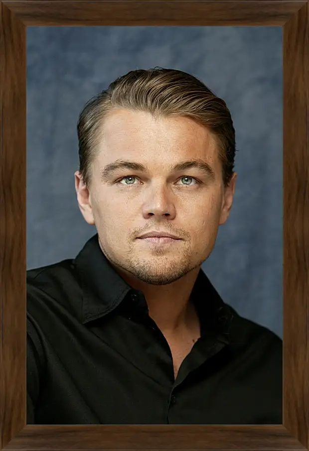 Картина в раме - Леонардо Ди Каприо. Leonardo DiCaprio