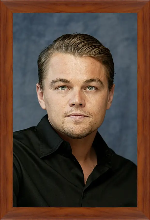 Картина в раме - Леонардо Ди Каприо. Leonardo DiCaprio