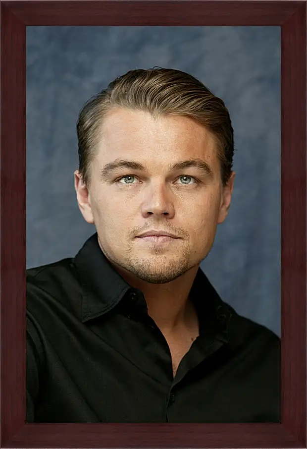 Картина в раме - Леонардо Ди Каприо. Leonardo DiCaprio