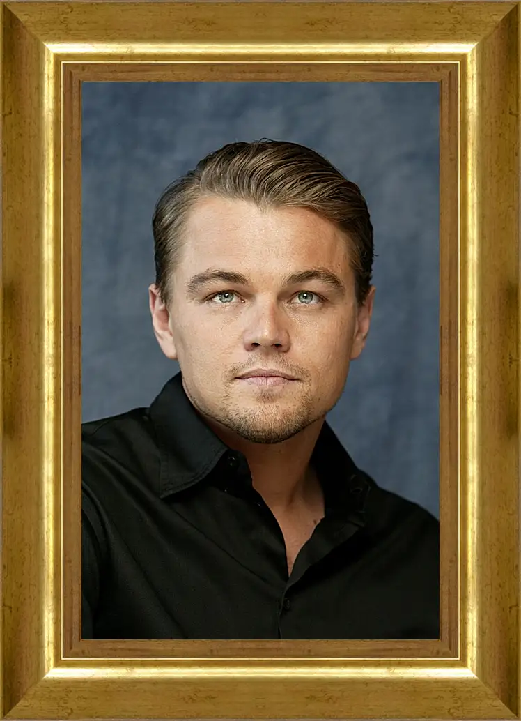 Картина в раме - Леонардо Ди Каприо. Leonardo DiCaprio