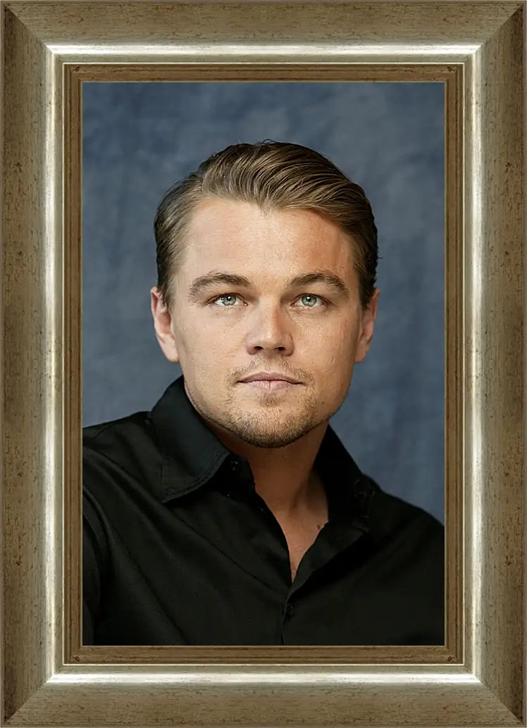 Картина в раме - Леонардо Ди Каприо. Leonardo DiCaprio