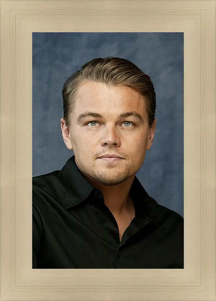 Картина в раме - Леонардо Ди Каприо. Leonardo DiCaprio