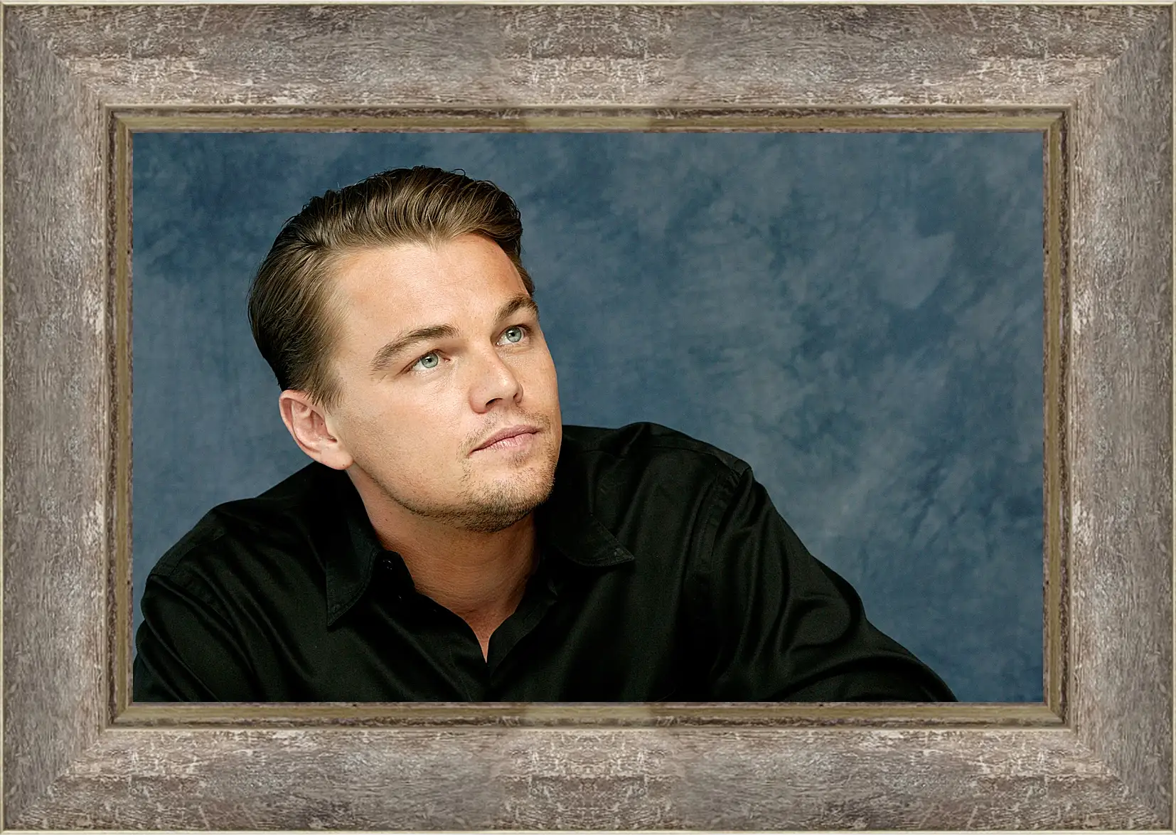 Картина в раме - Леонардо Ди Каприо. Leonardo DiCaprio