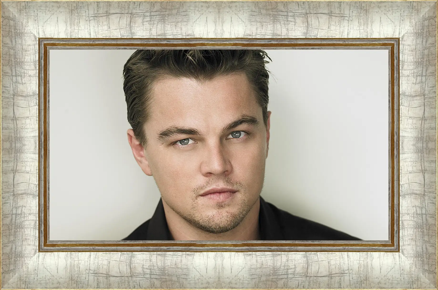 Картина в раме - Леонардо Ди Каприо. Leonardo DiCaprio