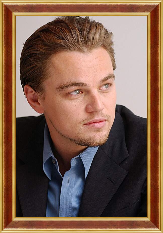 Картина в раме - Леонардо Ди Каприо. Leonardo DiCaprio