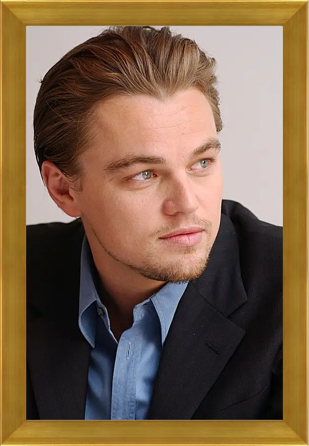 Картина в раме - Леонардо Ди Каприо. Leonardo DiCaprio