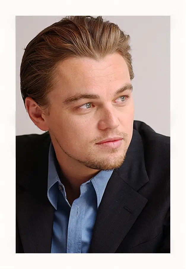 Картина в раме - Леонардо Ди Каприо. Leonardo DiCaprio