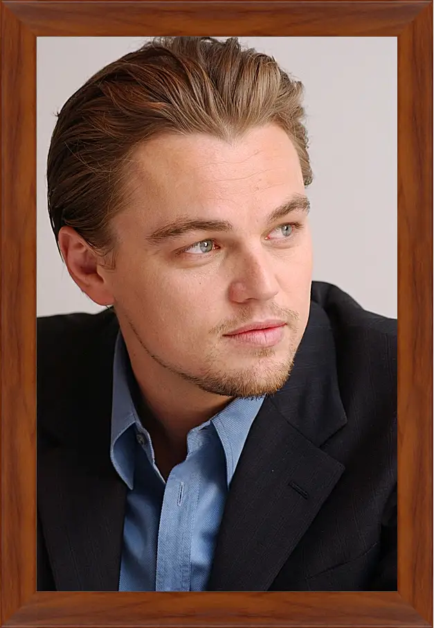 Картина в раме - Леонардо Ди Каприо. Leonardo DiCaprio