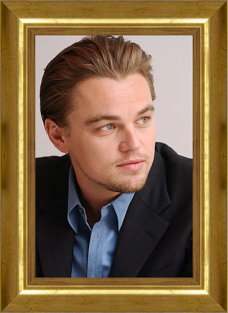 Картина в раме - Леонардо Ди Каприо. Leonardo DiCaprio