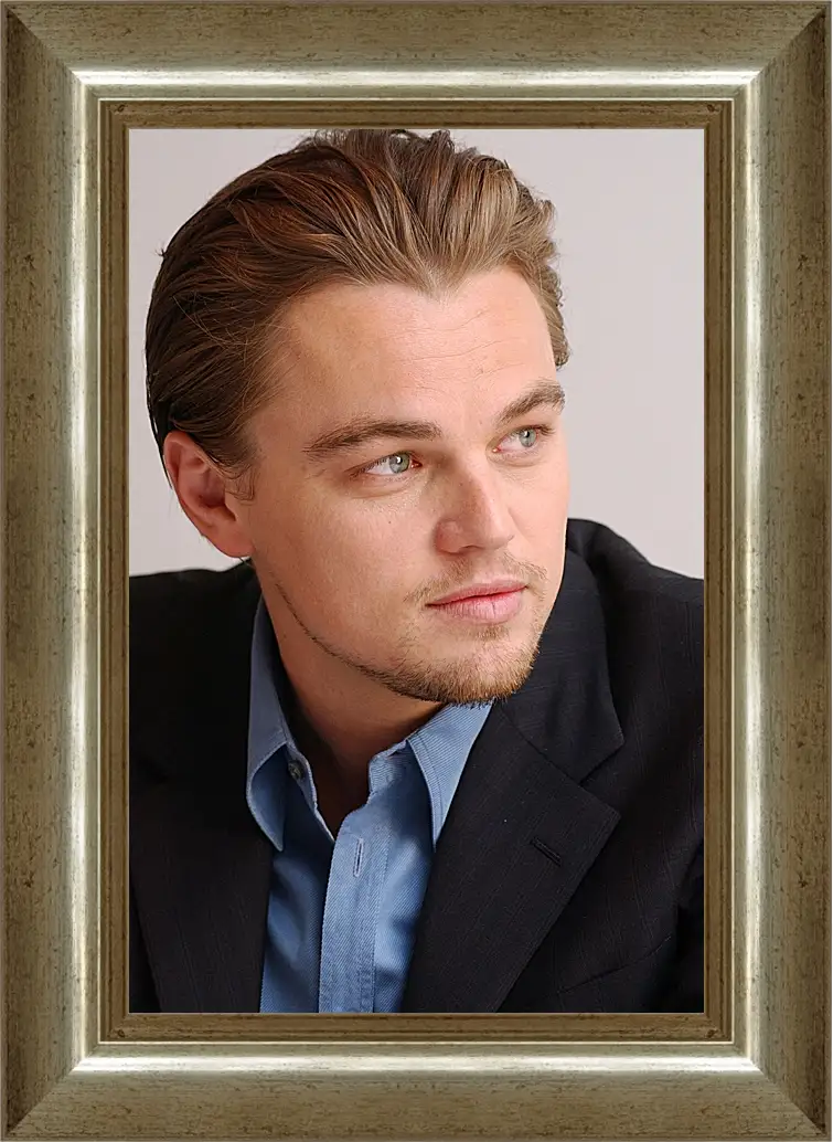 Картина в раме - Леонардо Ди Каприо. Leonardo DiCaprio