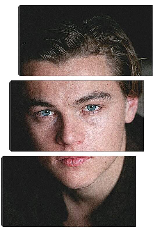 Модульная картина - Леонардо Ди Каприо. Leonardo DiCaprio