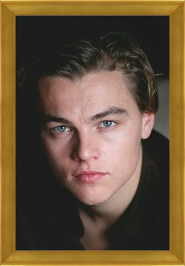 Картина в раме - Леонардо Ди Каприо. Leonardo DiCaprio