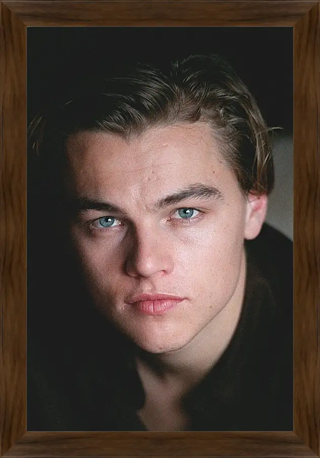 Картина в раме - Леонардо Ди Каприо. Leonardo DiCaprio