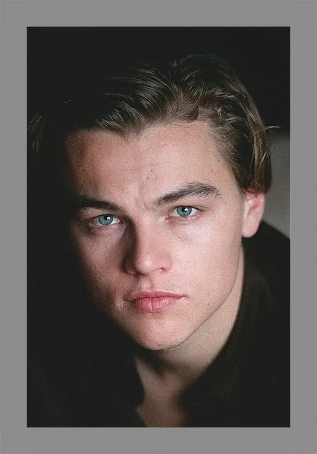 Картина в раме - Леонардо Ди Каприо. Leonardo DiCaprio