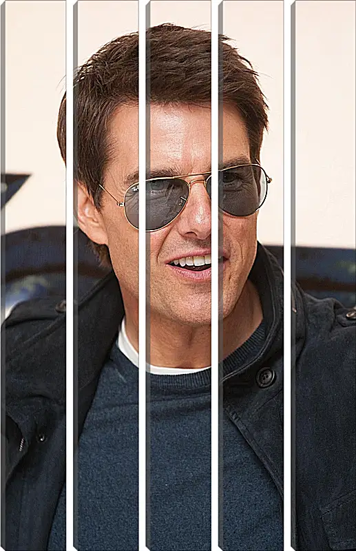 Модульная картина - Том Круз. Tom Cruise