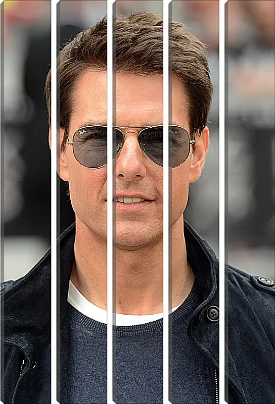 Модульная картина - Том Круз. Tom Cruise