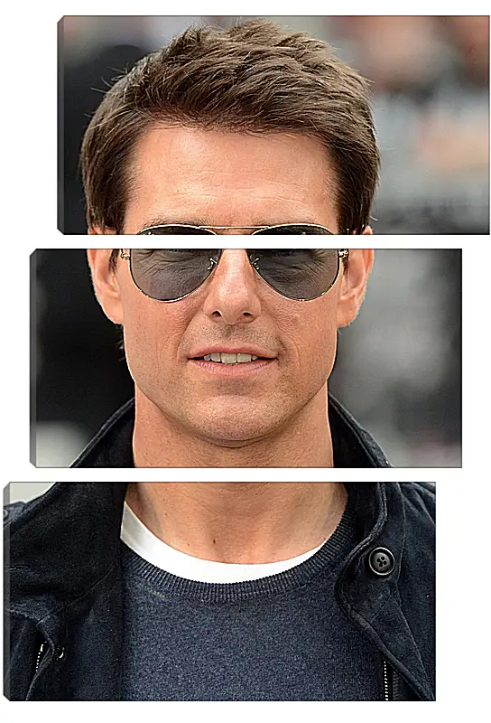 Модульная картина - Том Круз. Tom Cruise