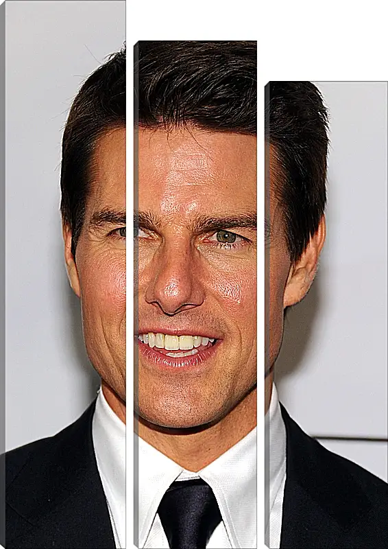 Модульная картина - Том Круз. Tom Cruise